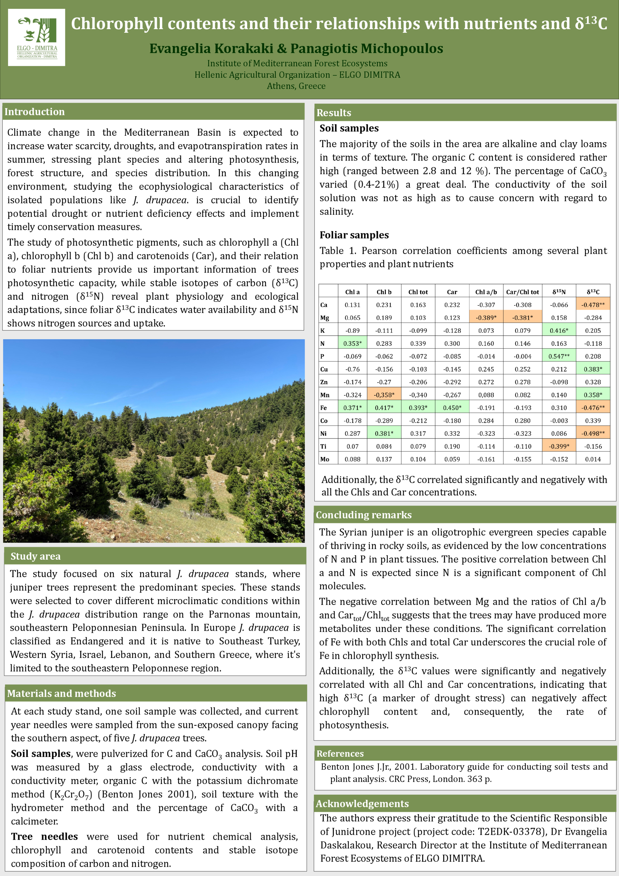 Chlorophyll contents and their relationships with nutrients and δ13C