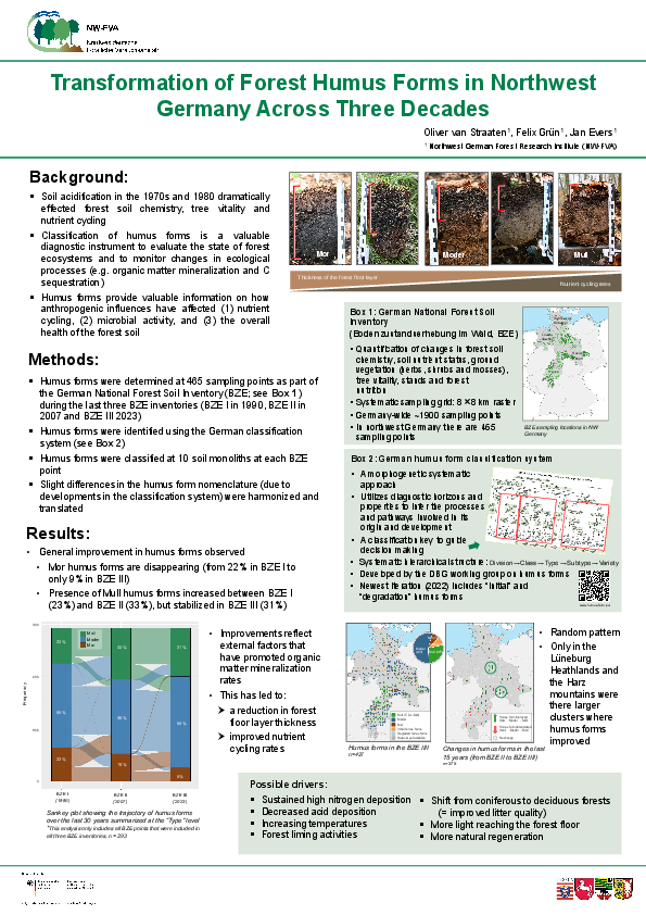 Transformation of Forest Humus Forms in Northwest Germany Across Three Decades