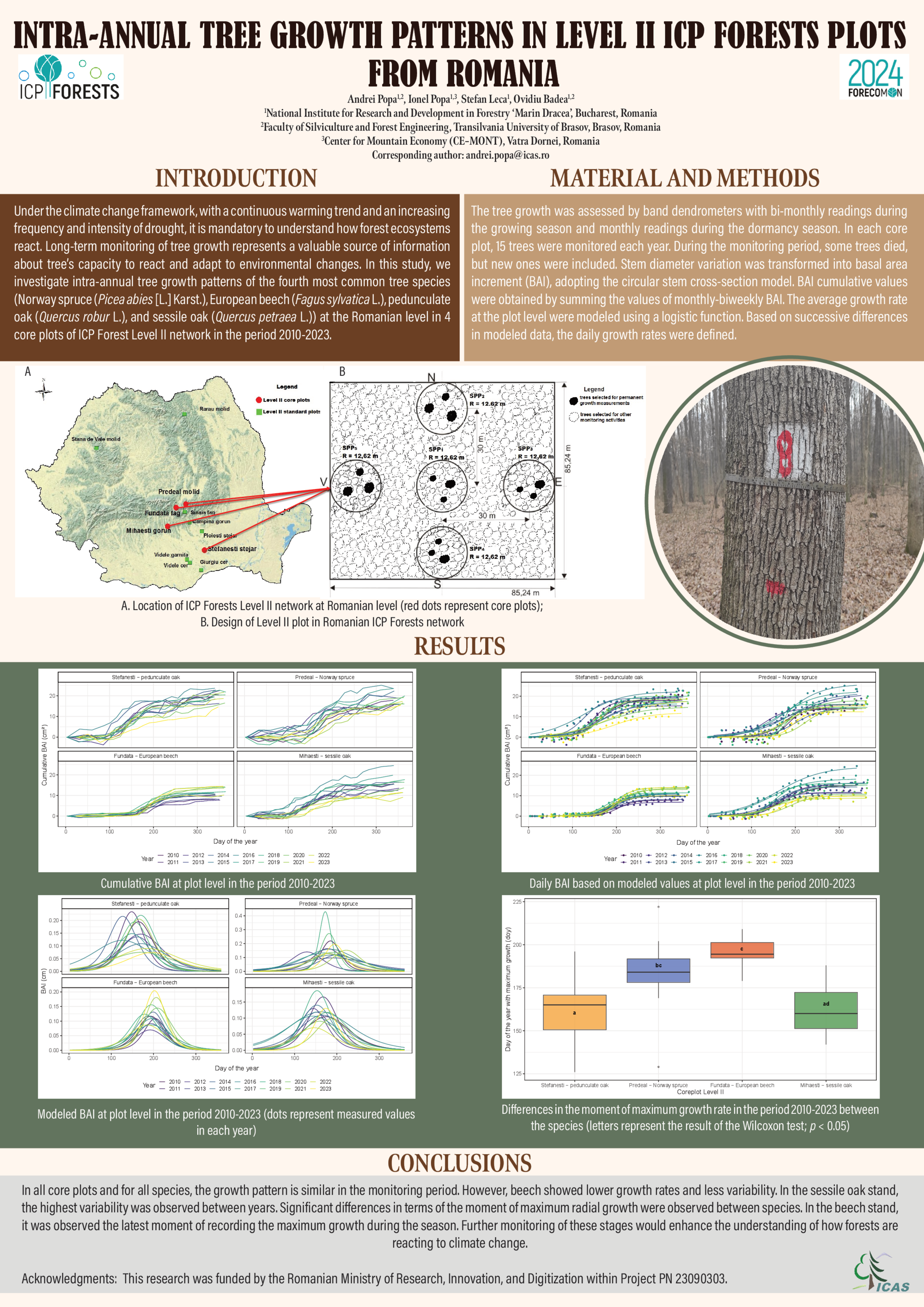INTRA-ANNUAL TREE GROWTH PATTERNS IN LEVEL II ICP FORESTS PLOTS FROM ROMANIA