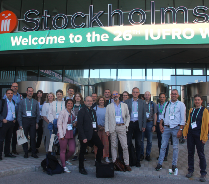 ICP Forests members at the IUFRO World Congress in Stockholm ICP Forest members at the IUFRO 2024